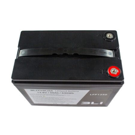 3Li Batteria LiFEpo4 12V 50Ah con caricabatteria - immagine 4
