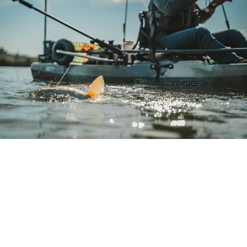 Bonafide P127 - immagine 22