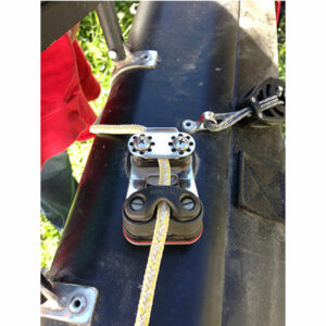 Torretta fiocco Wild Cat