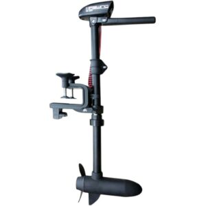 Motore Elettrico Haswing W-20 20 Lbs